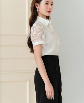 DNL00684 (Large)
